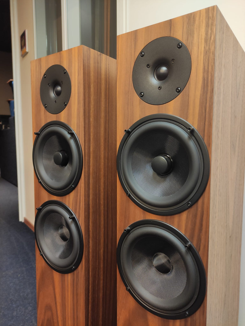 Audio Physic Classic 8