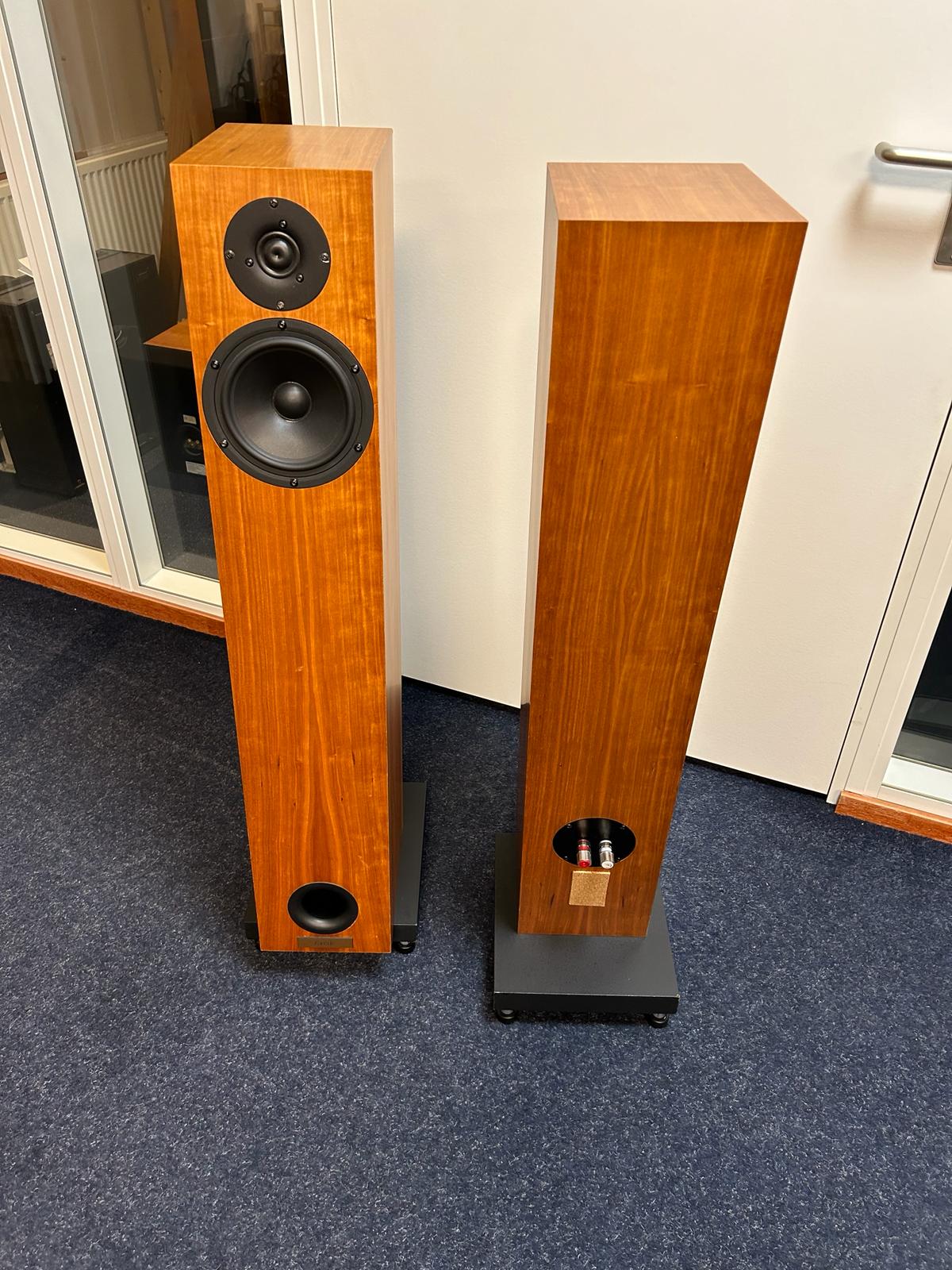 Audio Physic Remake Clone DIY