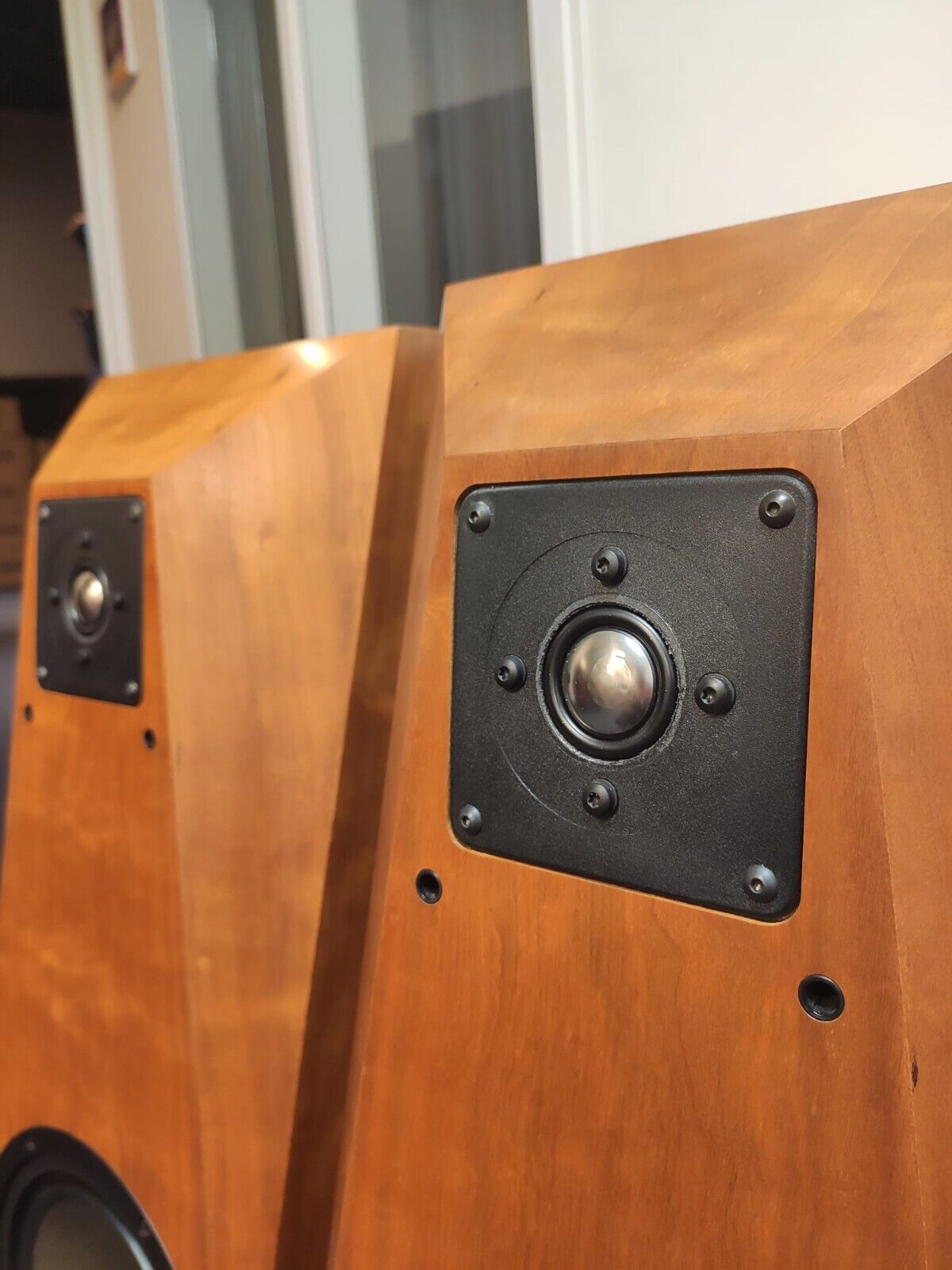 Avalon Acoustics Avatar