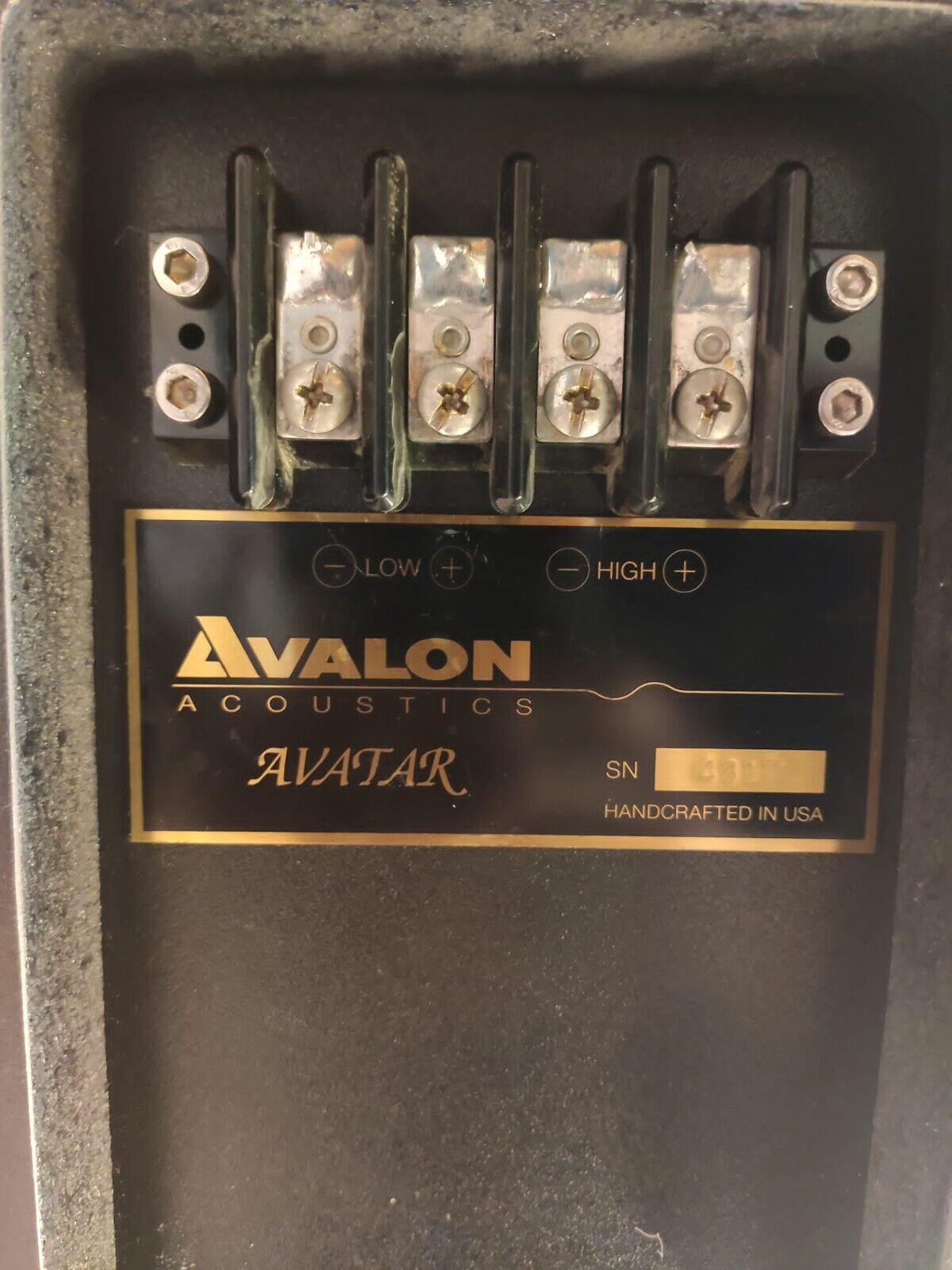 Avalon Acoustics Avatar