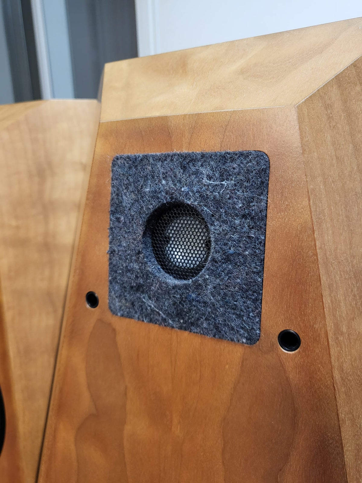 Avalon Transcendent