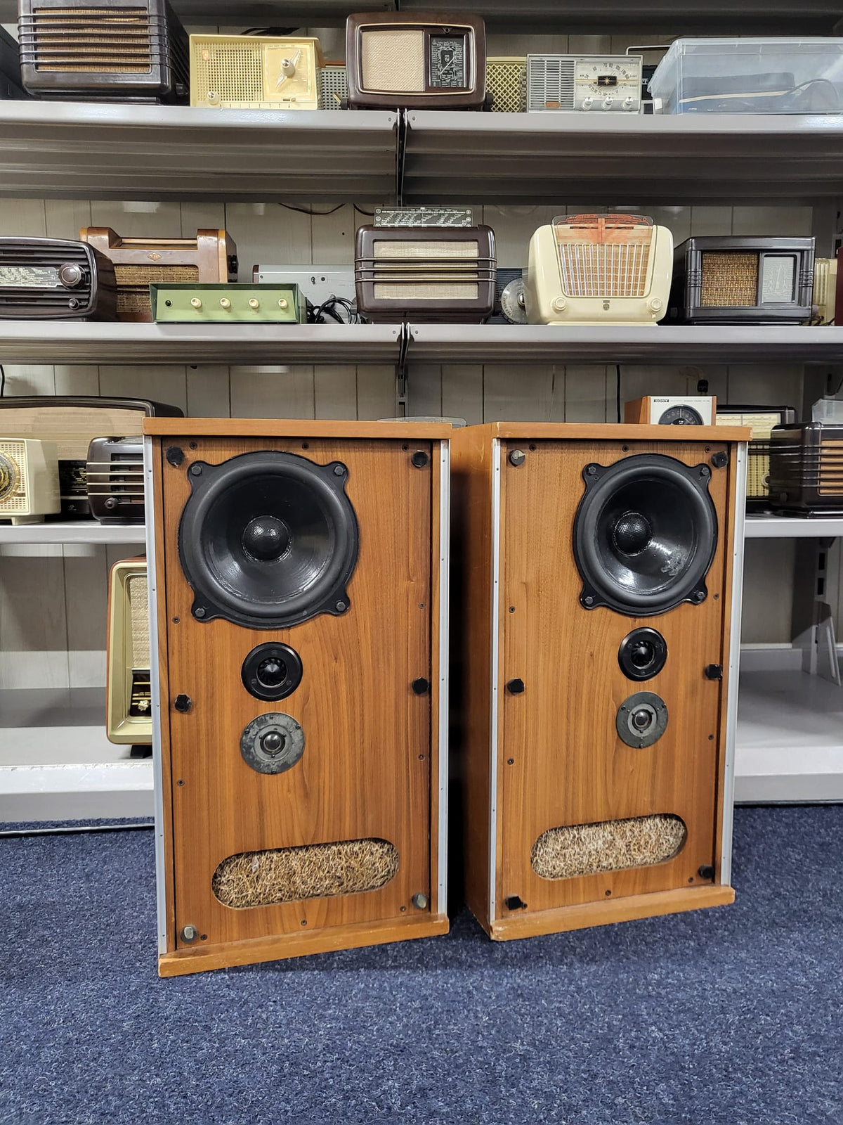 Bowers And Wilkins DM2