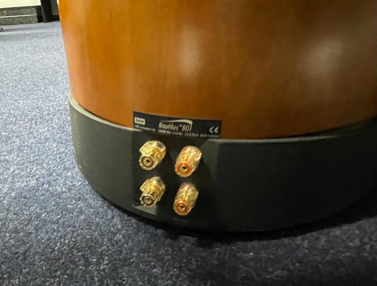 Bowers and Wilkins Nautilus 801