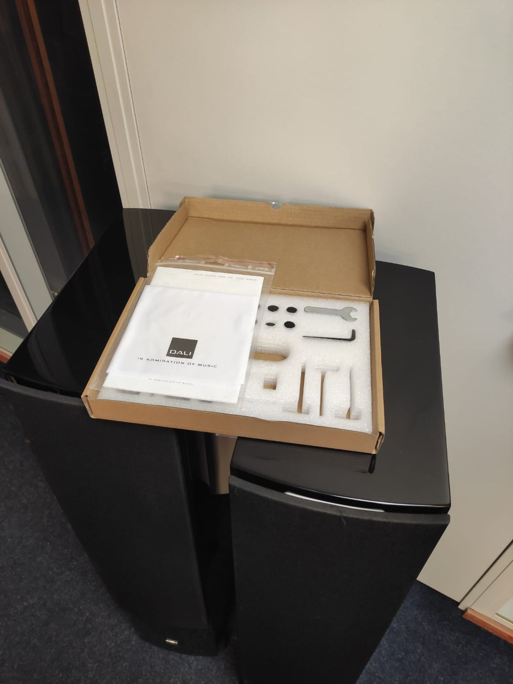 Dali Rubicon 8
