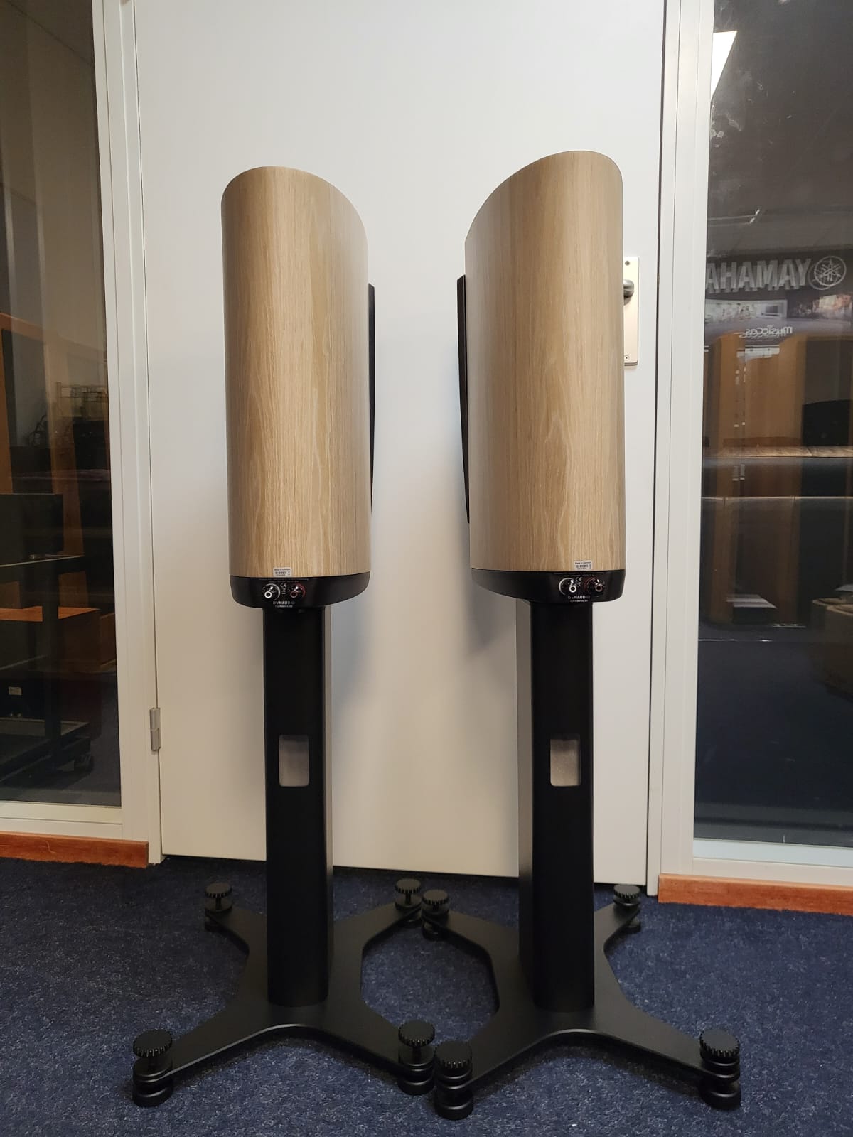 Dynaudio Confidence 20