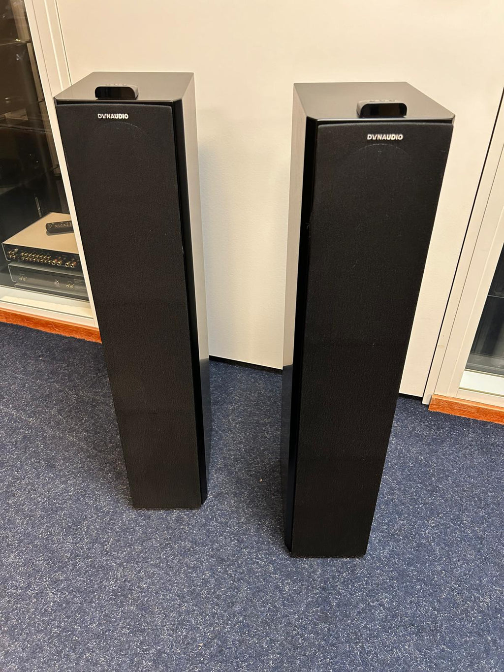 Dynaudio XEO 6