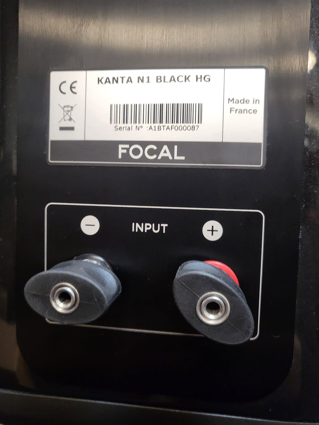 Focal Kanta N1