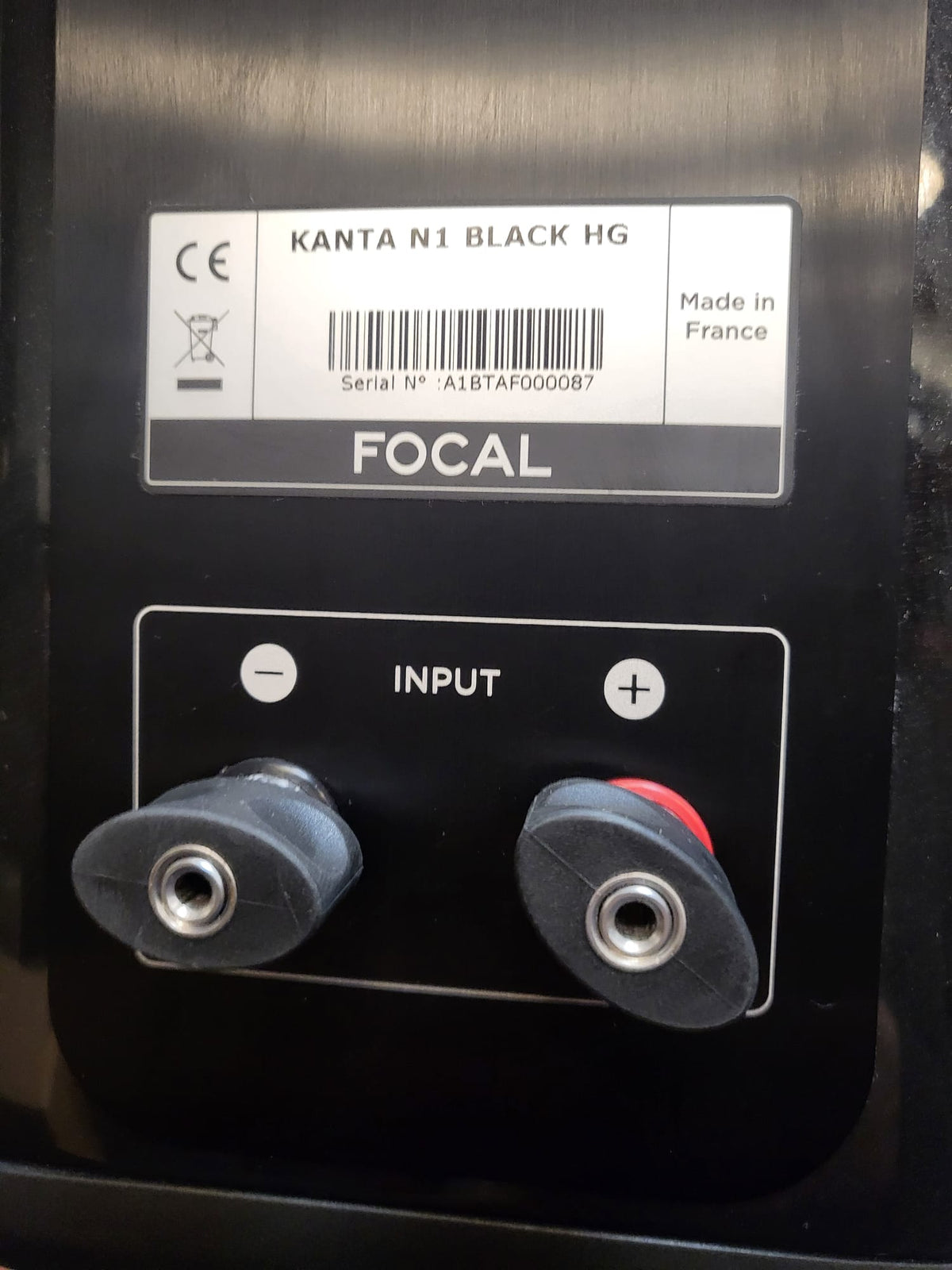 Focal Kanta N1