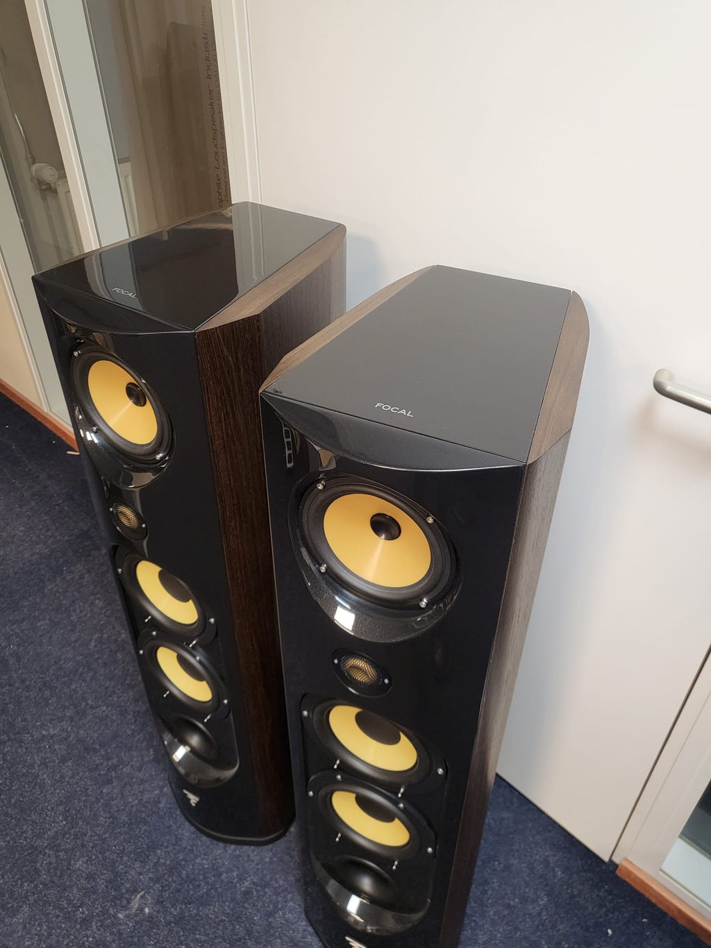 Focal Spectral 40th