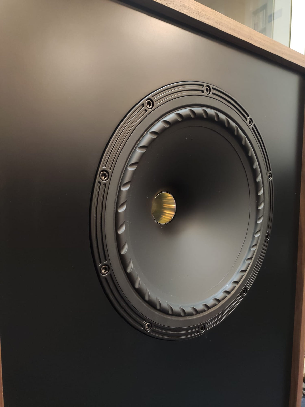 Fyne Audio Vintage classic XII