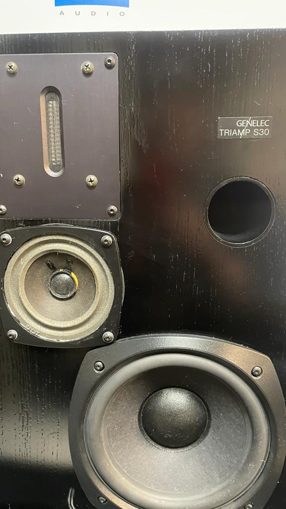 Genelec S-30
