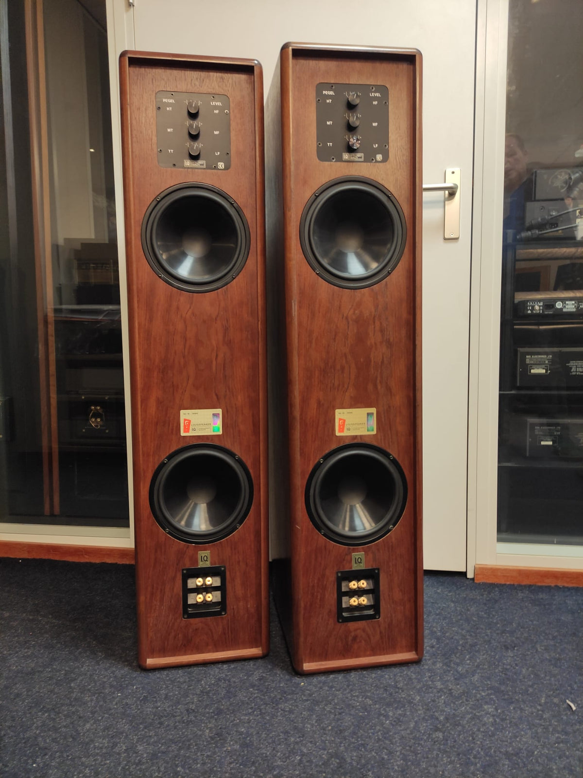 IQ Audio System 300T