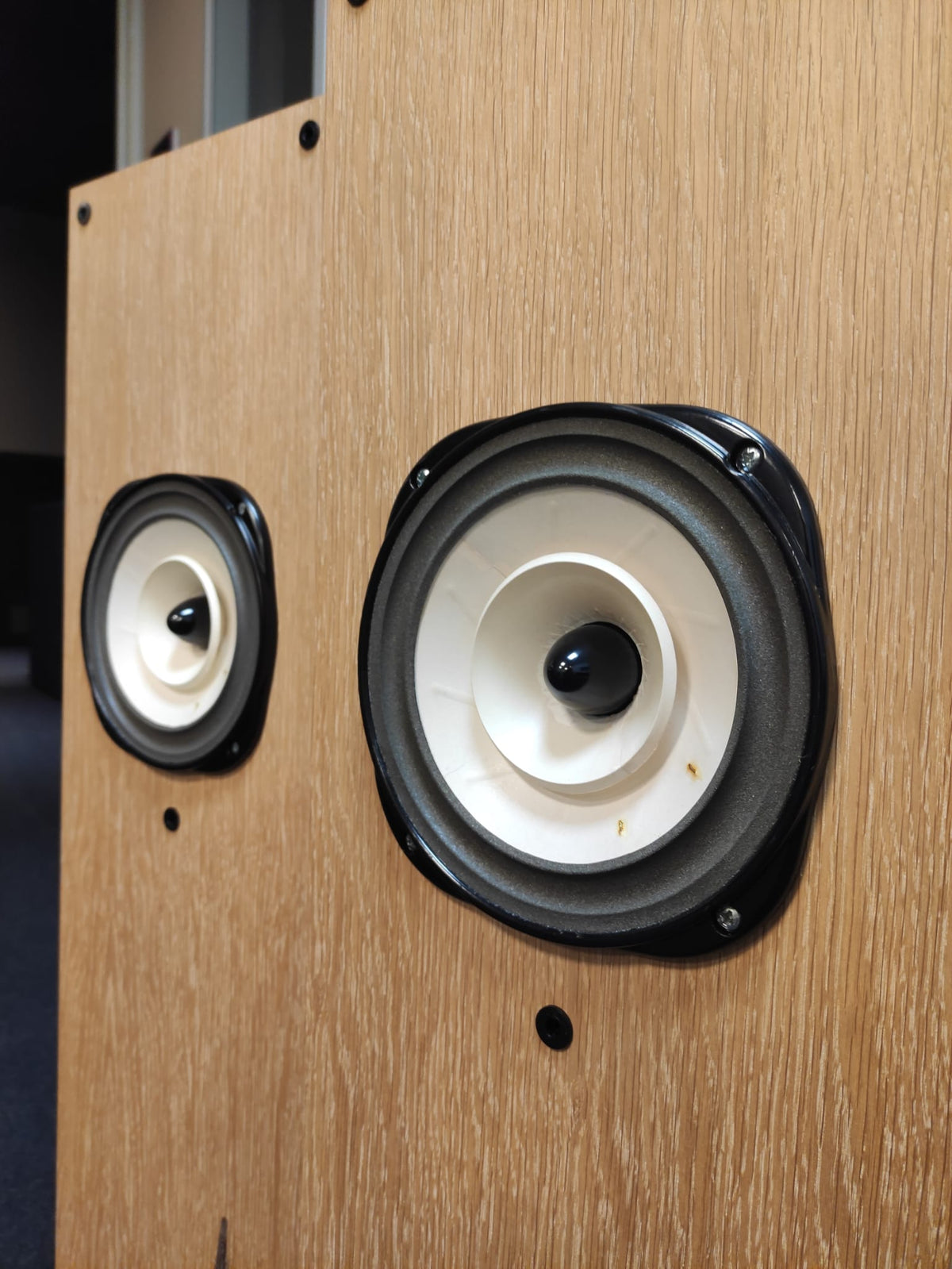 Lowther PMGA DX2