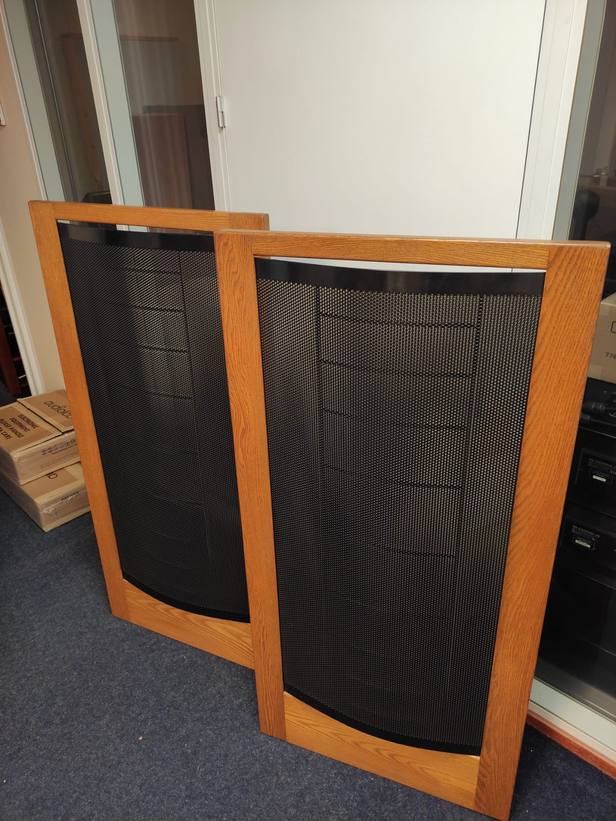 Martin Logan CLS2 CLSII