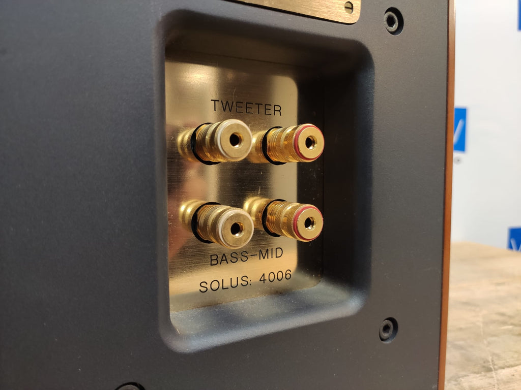 Ruark Acoustics Solus