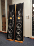 Thiel CS5