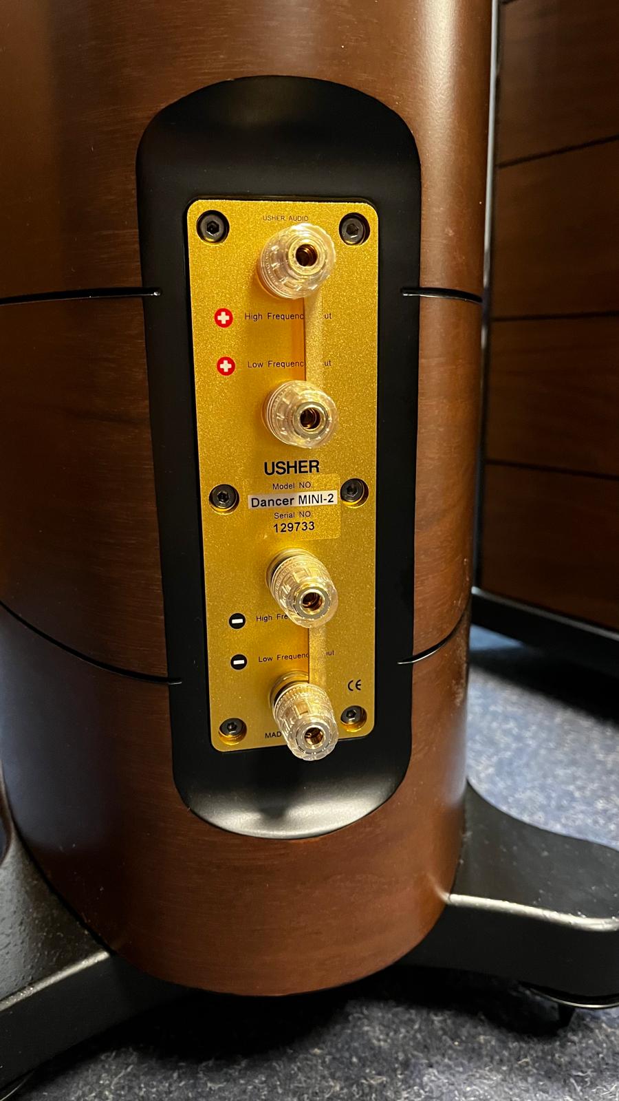Usher Mini Dancer 2 DMD Walnut
