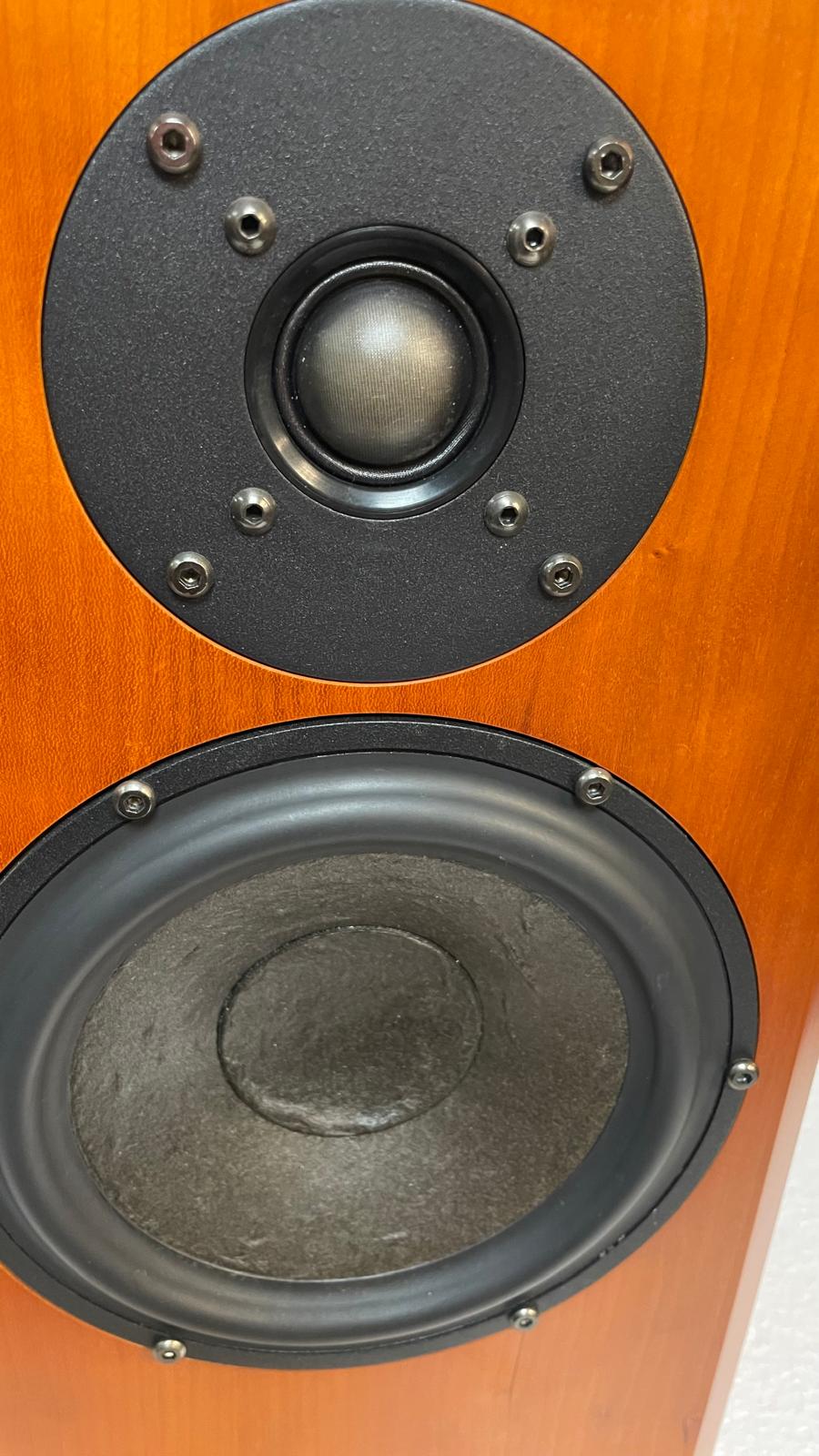 Usher V-601