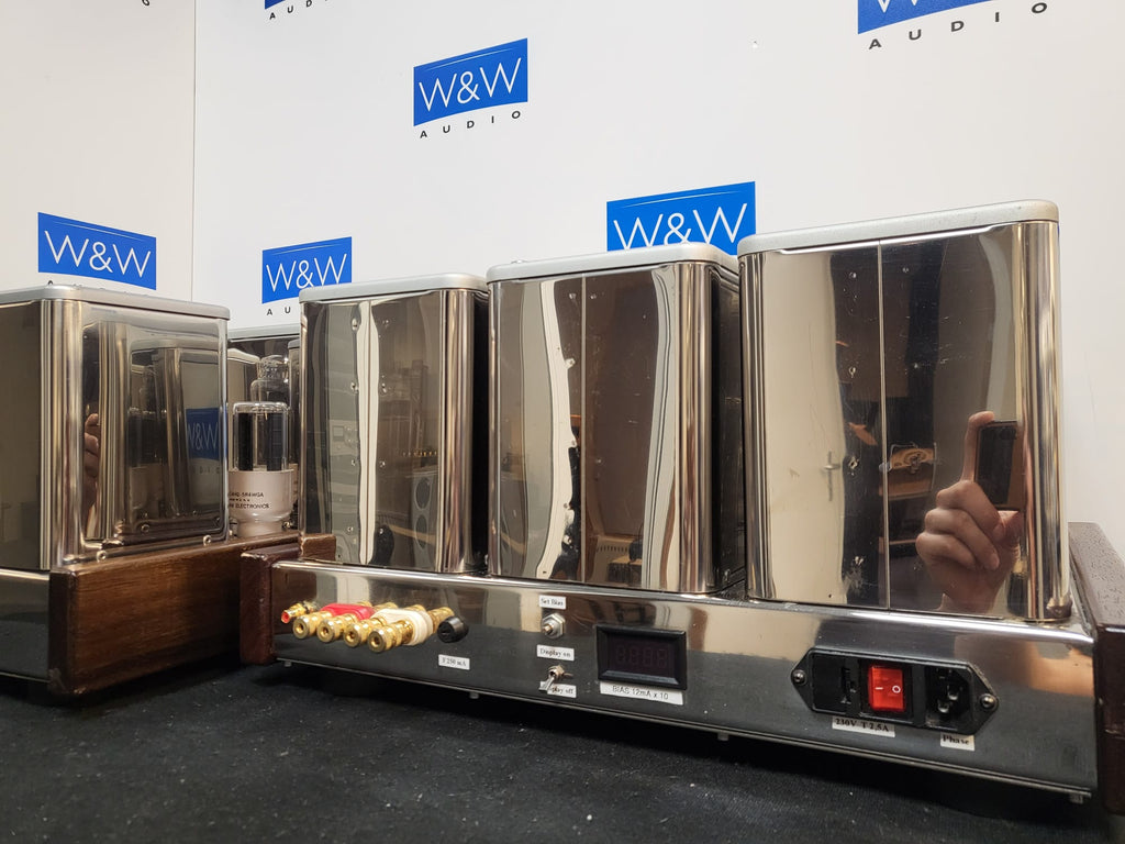 VAIC Valve Model 52b