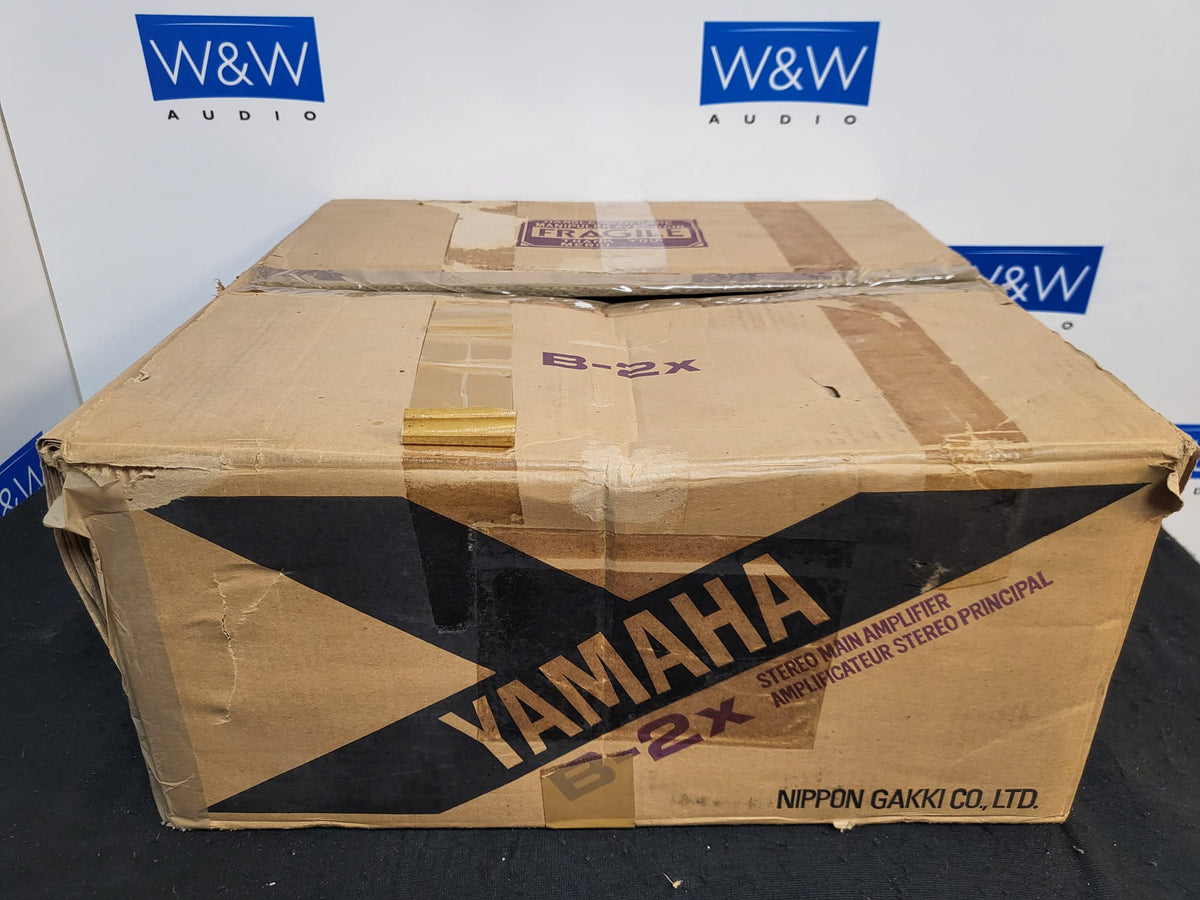 Yamaha B-2x