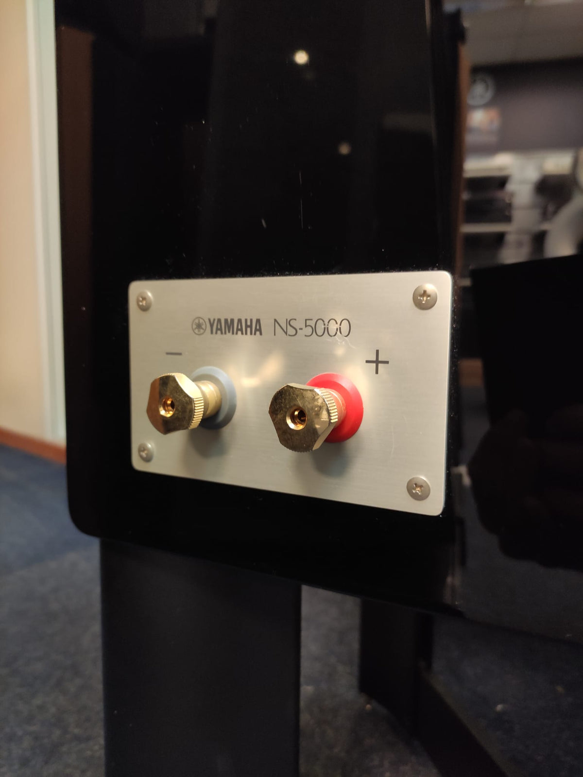 Yamaha NS-5000